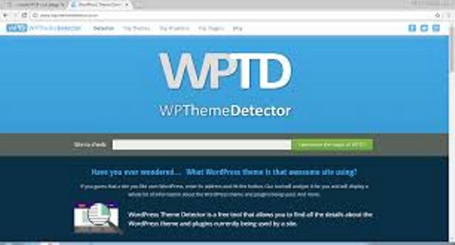 تشخیص سیستم مدیریت محتوا سایت با سایت wpthemedetector.com