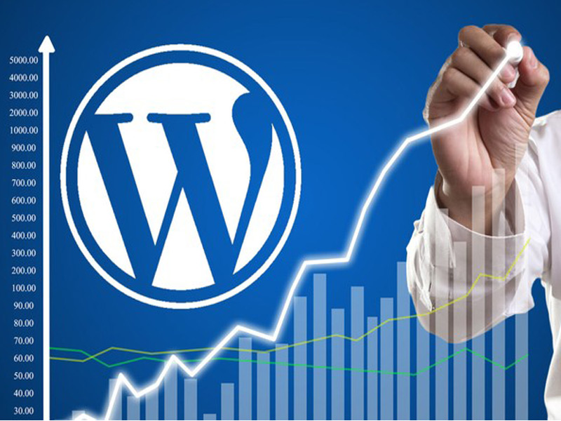 نکاتی که قبل از راه اندازی وردپرس باید بدانید