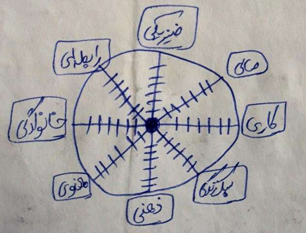 چرخه زندگی در بهترین سال عمرتان