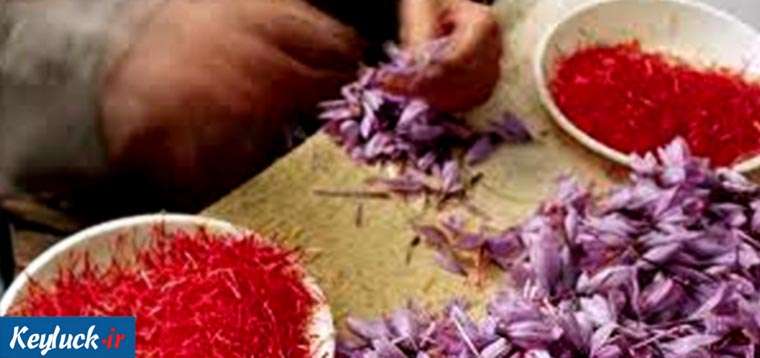 ۷ فایده زعفران برای سلامتی