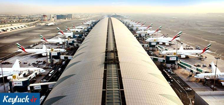 خرید سایت نون دبی و امارات