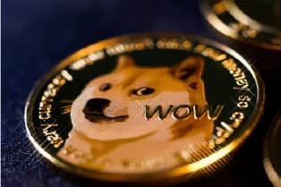 چرا تحلیل های دقیق دوج کوین مهمه