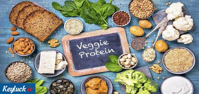 رژیم غذایی برای تامین پروتئین گیاهخواران