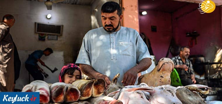 کله پاچه چیست؟ راهنمای خرید کله پاچه سالم از ناسالم