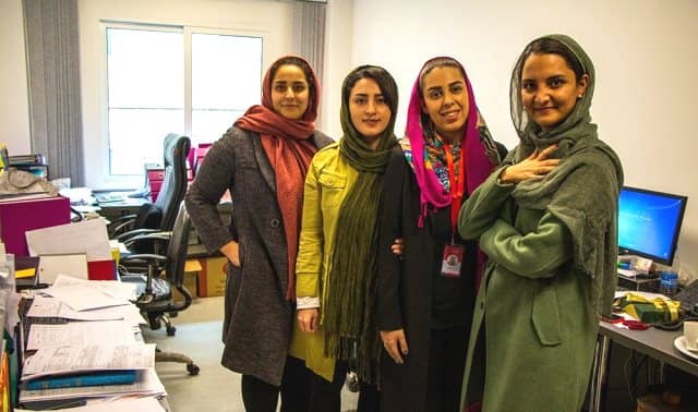 مسیر شغلی نازنین دانشور