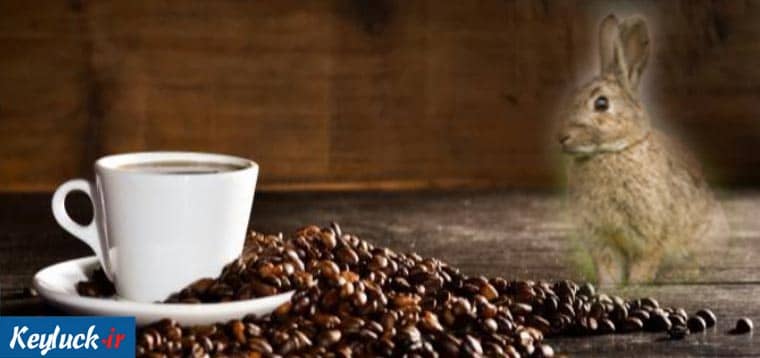 تفسیر شکل خرگوش در فال قهوه