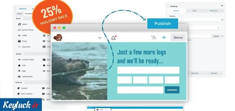 بهترین افزونه های زیباسازی سایت وردپرس