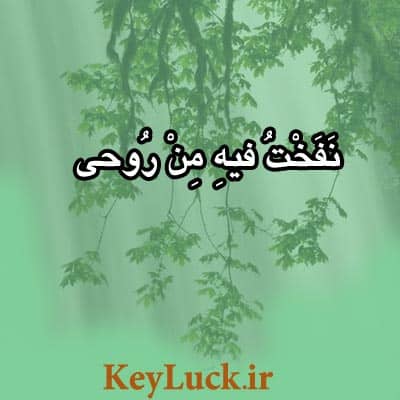 آیه قرآن نشان دهنده اشرف مخلوقات بودن انسان